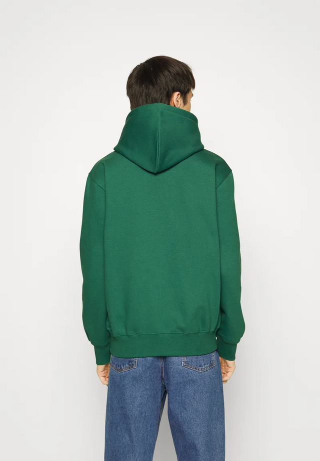 Carhartt Felpa con cappuccio American Script Sweat 1030230 11Y bonsai-mattone