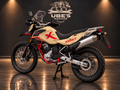 SWM Superdual 650 X